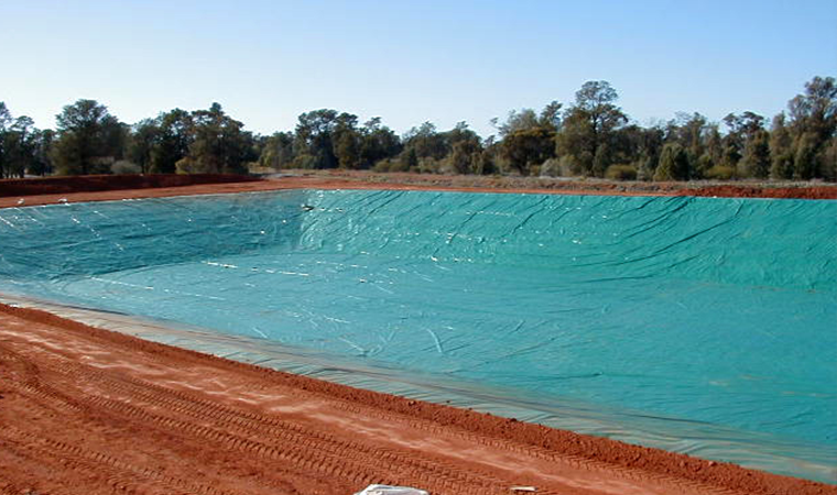 More trust in the resilience of your cows