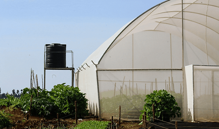 A Foolproof Guide for Picking Great Produce—Every Time​