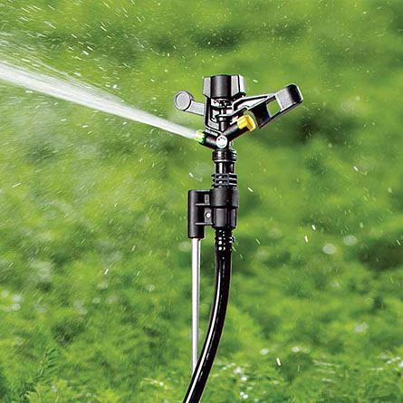 Harvest London publishes its first annual Impact Report​